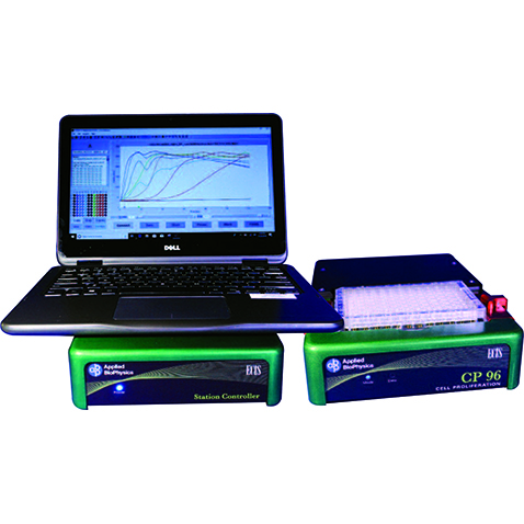 請(qǐng)?zhí)顚憳?biāo)題